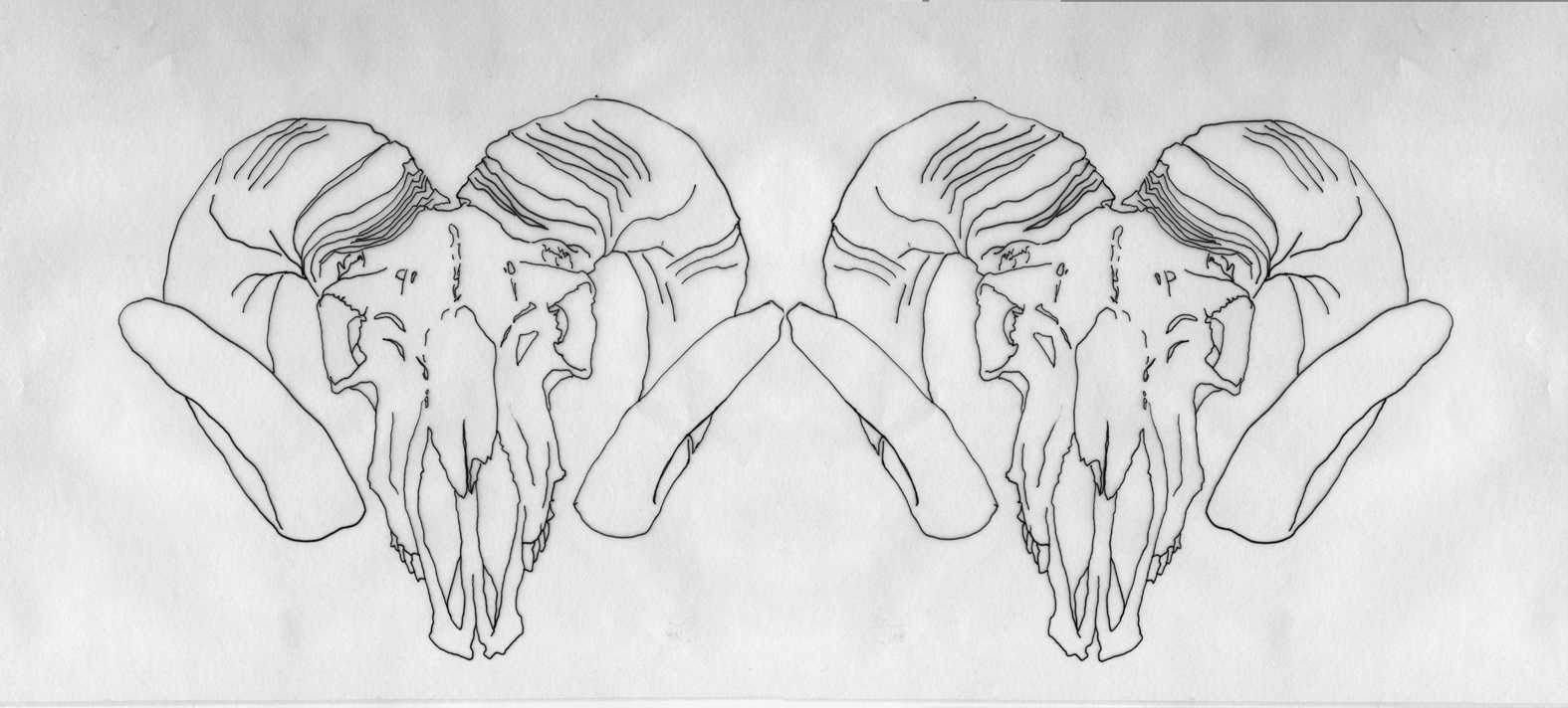 Skull 2