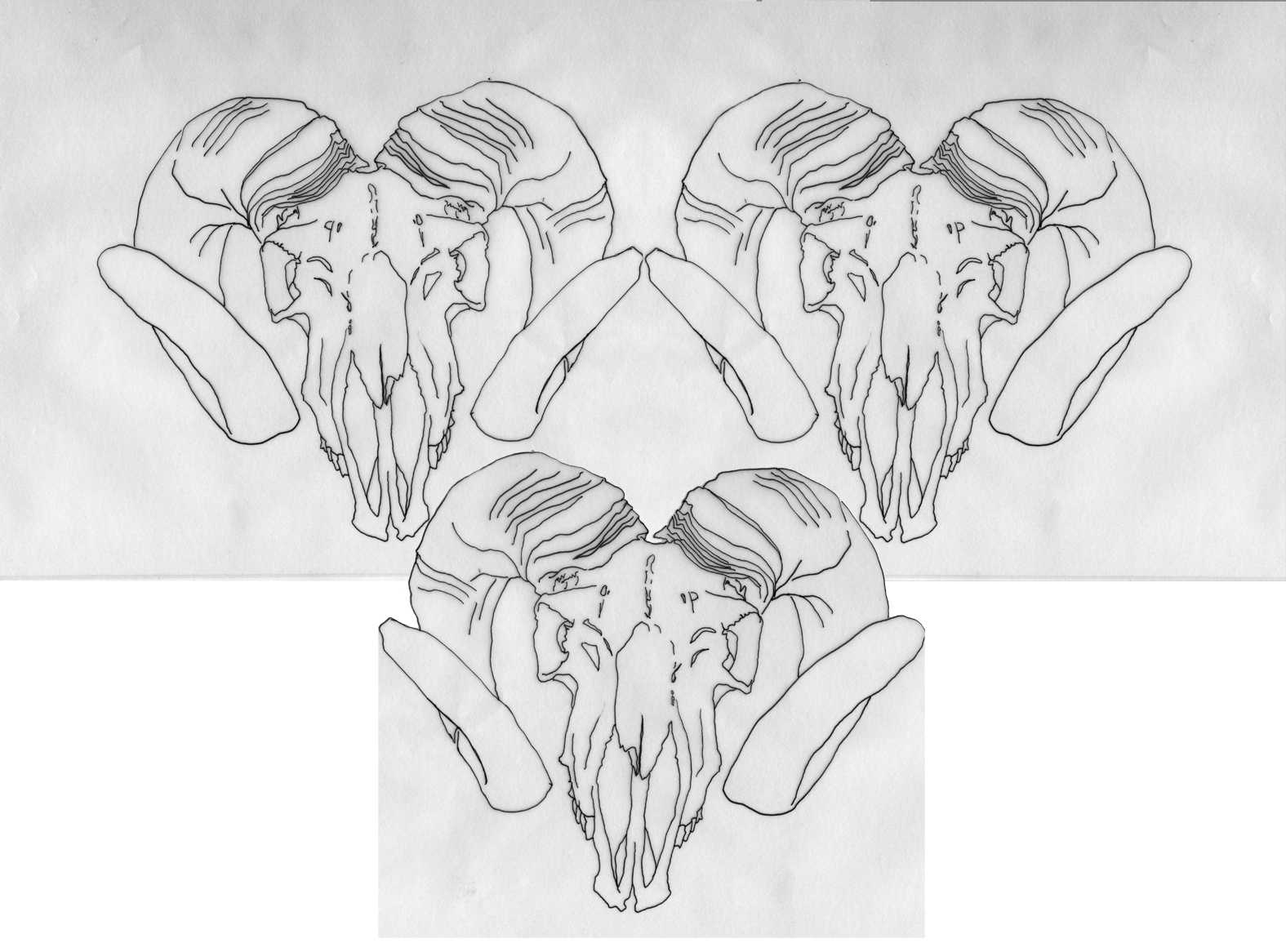 Skull 3